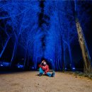 서울숲12 이미지