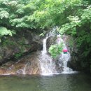 부평길주 이미지