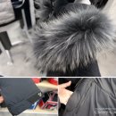 볼빅고양 이미지