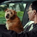 두리틀동물병원 이미지