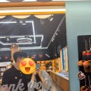 태인6길 | 제주도여행, 엔젤렌트카 솔직후기, 전기차 렌트, 제주고기국수, 제주동문시장🌴🩵💚,제주갈치조림맛집🐟