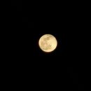 ［KEVIN］To the moon🌙 from the moon 🌛 #1 이미지
