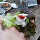 태보펜션