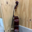 피스테일 이미지