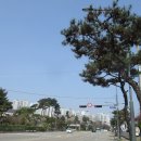 수원팔색길 효행길 이미지