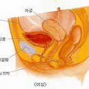 다니엘종합병원 이미지
