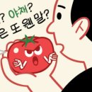 [윤희영의 News English] 토마토에 독성 있다며 기피했던 이유 이미지