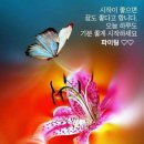천년세탁 이미지