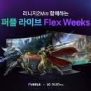 퍼플라이브 게임동아