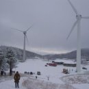 대관령가는길 이미지