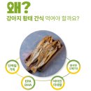 리앤폴 | [제품후기] 맛있는 강아지 황태간식 리앤폴 단호박황태