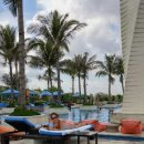 포레스트모가 이미지