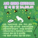 보나마켓
