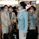 스카이윙 이미지