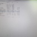 앨리스 인 원더랜드 이미지