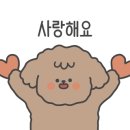 궁돈보쌈 이미지