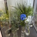 온천2동-29 | 예쁜꽃만 담아주는 잇츠플레르 미니꽃다발 후기 (동래&amp; 온천동 꽃집)