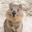 장어마을 이미지