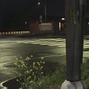 제주감성숙소 월정연가 이미지