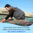 고흥재래시장 이미지