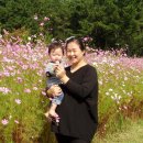 현대공원 앞 이미지