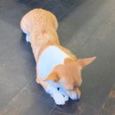 (주)코하루 이미지