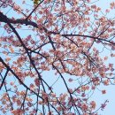 한려동 주민자치센터 이미지