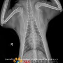 청진약품 이미지