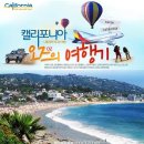 (주)오즈렌터카 이미지