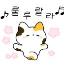 화순당구장 이미지