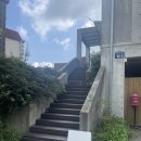 고영주택 | [김포데이트] 49마리 고양이와의 설레는 시간/김포고양이카페/김포 고영주택 후기
