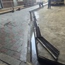 에스더블유 이미지