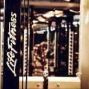 고릴라짐 이미지