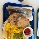 온천로 | 울주군에서 발견한 ‘진짜 힐링 브런치’ — 그린마운트 알프스온천로점 솔직 방문기!