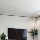 하얀집 STAY 이미지