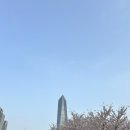 빽다방송도아트포레점