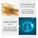에끌라두 이미지