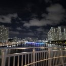 휴먼브릿지 이미지