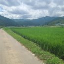 오미리 마을회관 이미지