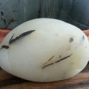 오우가 이미지