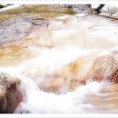 일동하와이 이미지