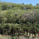 에덴동산펜션 이미지