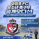 대전화정초등학교