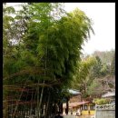 홍룡폭포(홍룡사) 이미지