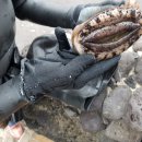 세화2리 이미지