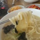 안성맛집/ 골목식당 콩나물손칼국수 먹방후기~