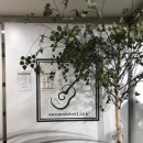 뮤직스토리실용음악학원 이미지