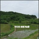 현애리농장 이미지