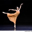 새부산병원 이미지