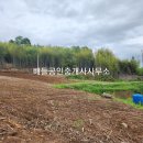 과수원민박 이미지